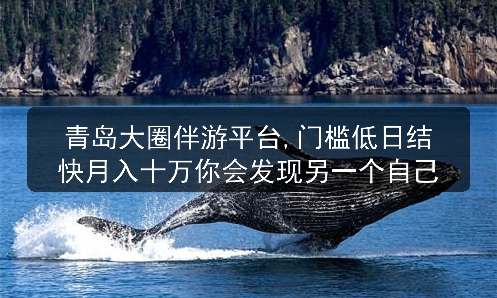 青岛大圈伴游平台,门槛低日结快月入十万你会发现另一